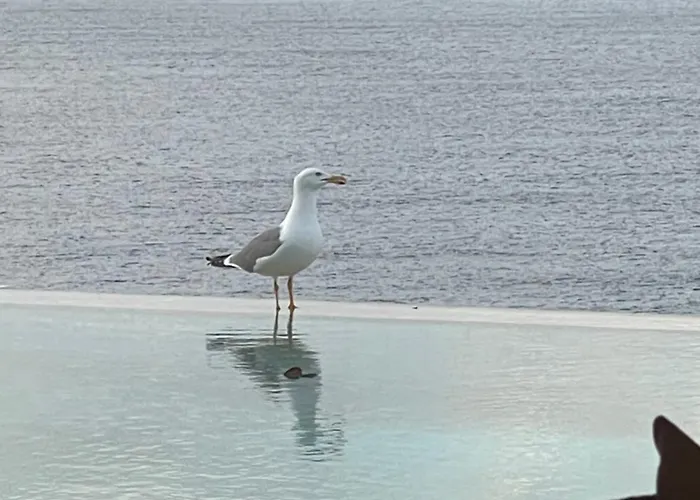 C'est La Vie Villa *