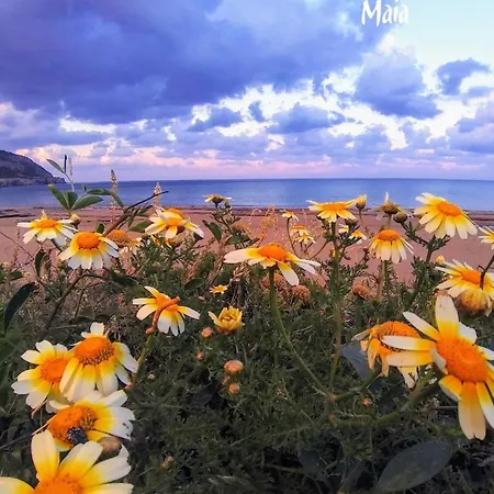 Villa C'est La Vie 1 Ammopi Karpathos