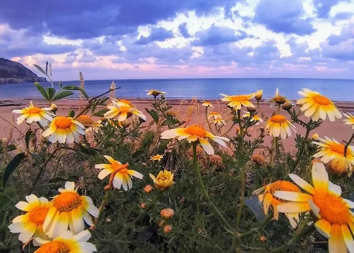 ヴィラ C'est La Vie 1 Ammopi Karpathos